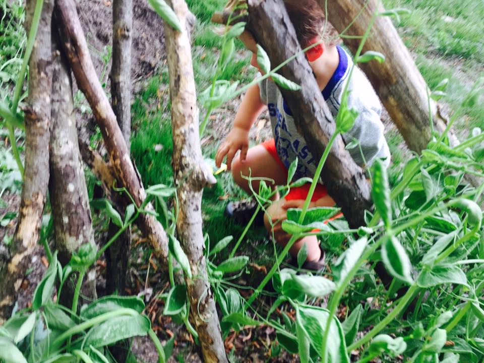 18403348_10154748900002462_7174213857290971459_n