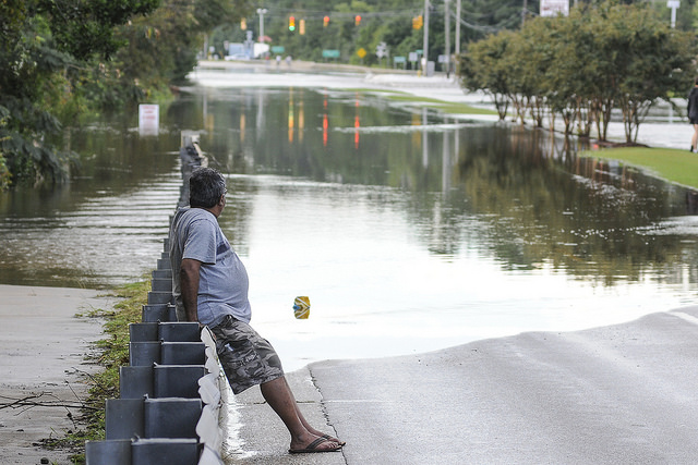 44785803831_0a5a470f47_z