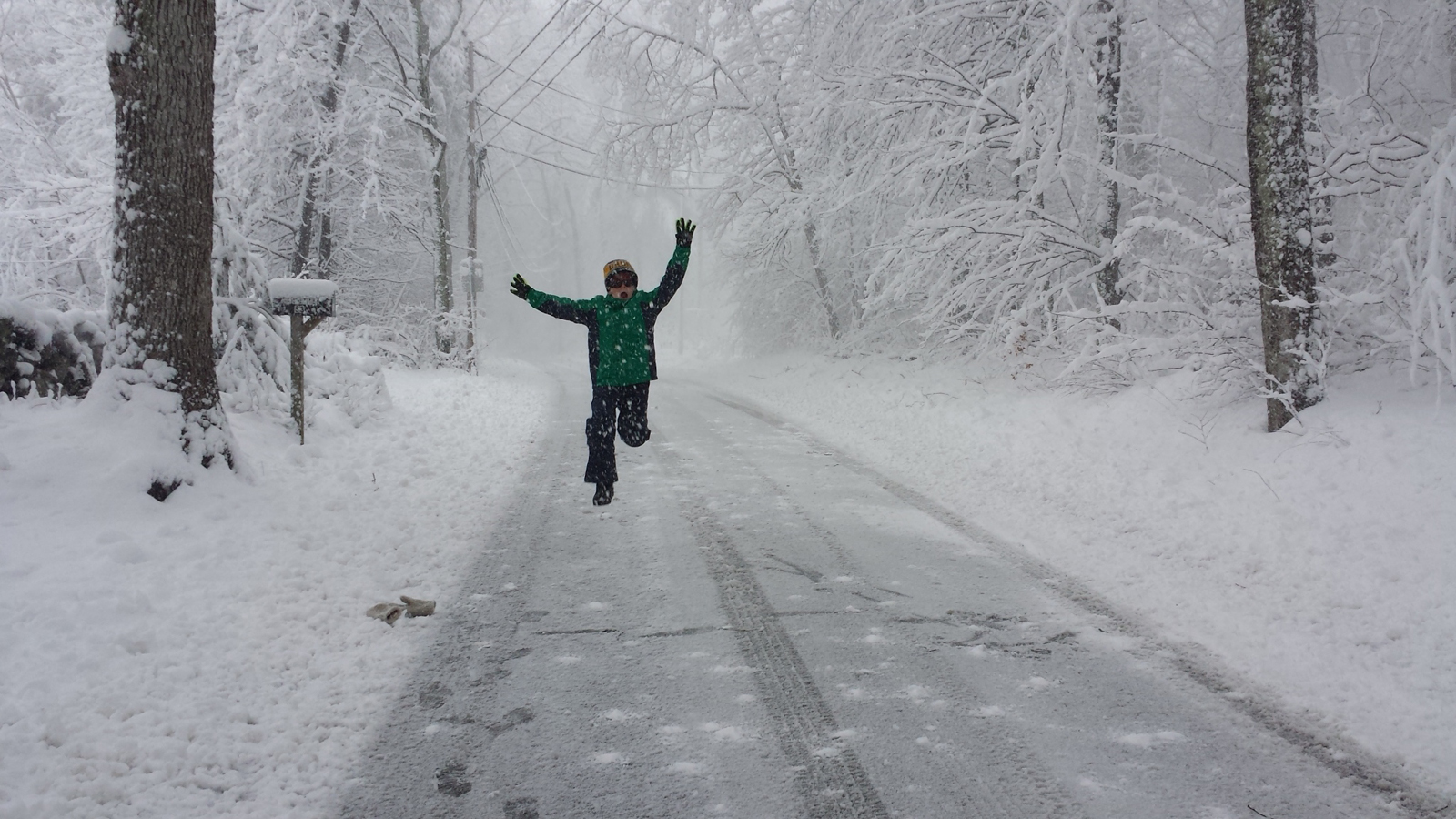 Just-Snow  Lexington NC