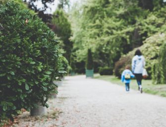 When Family Violence Hits Home